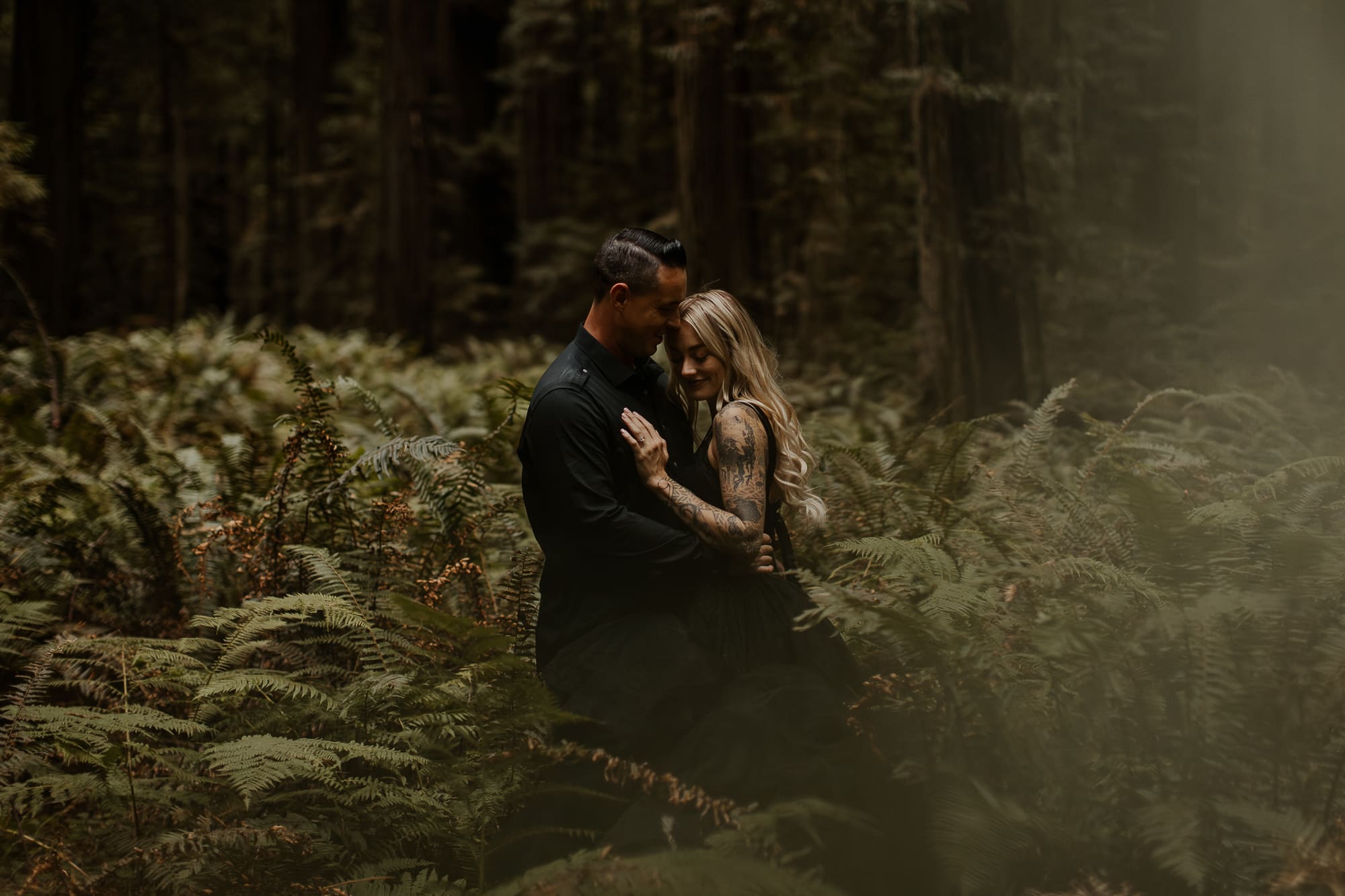 Moody Humboldt Redwoods Engagement photos