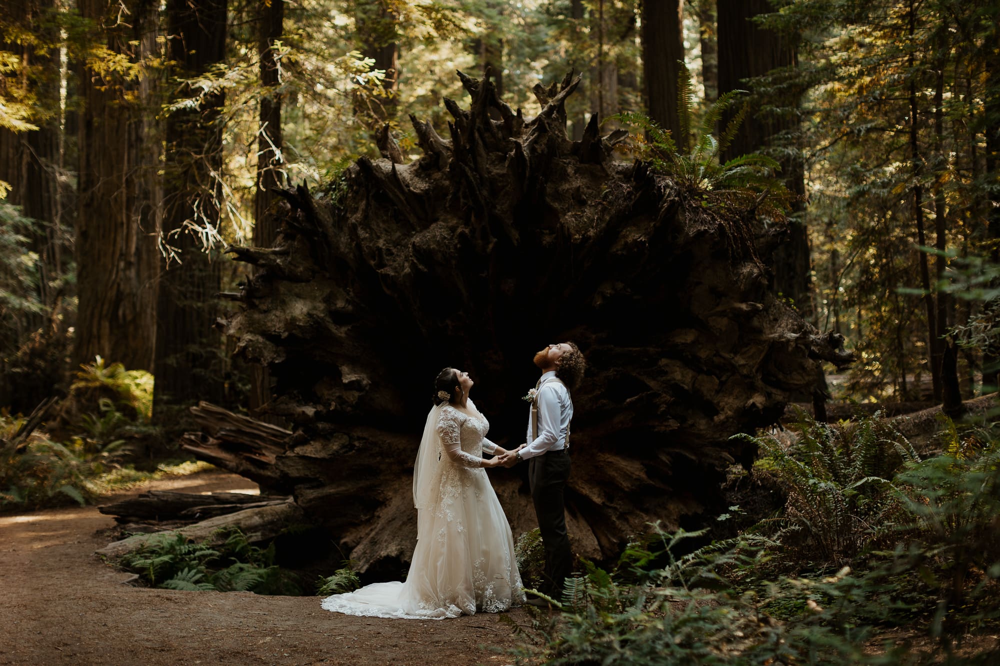 Couple stands in front of giant redwood roots during their Humboldt Redwoods small wedding