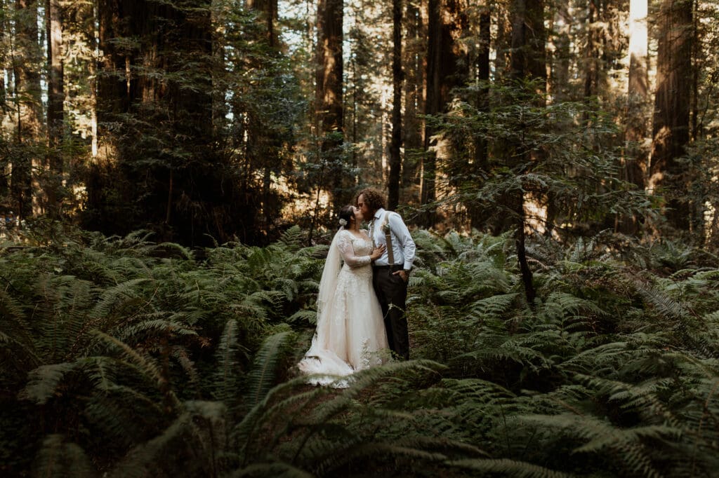 redwood and ferns elopement