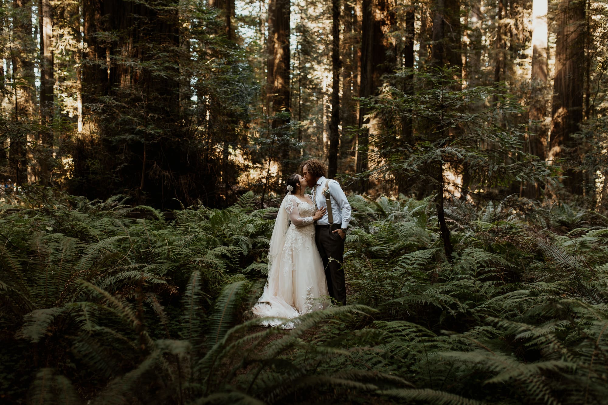 redwood elopement