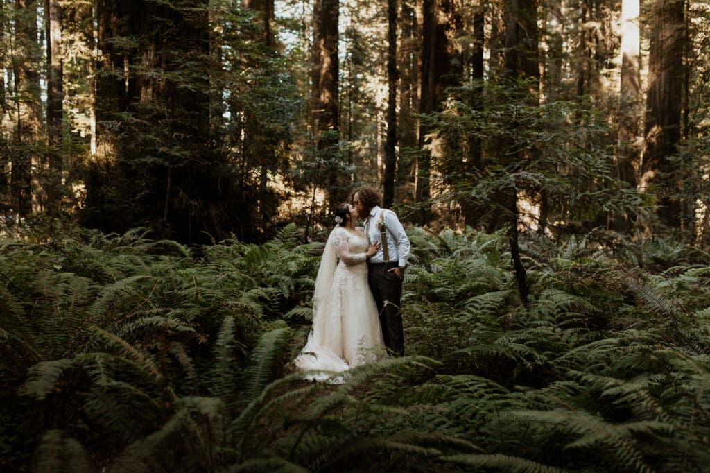 Bride and groom stand amongst the ferns in a redwood forest