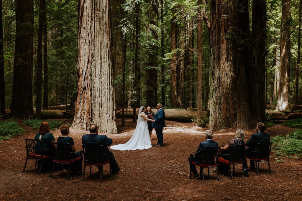 Elopement with guests in the redwoods