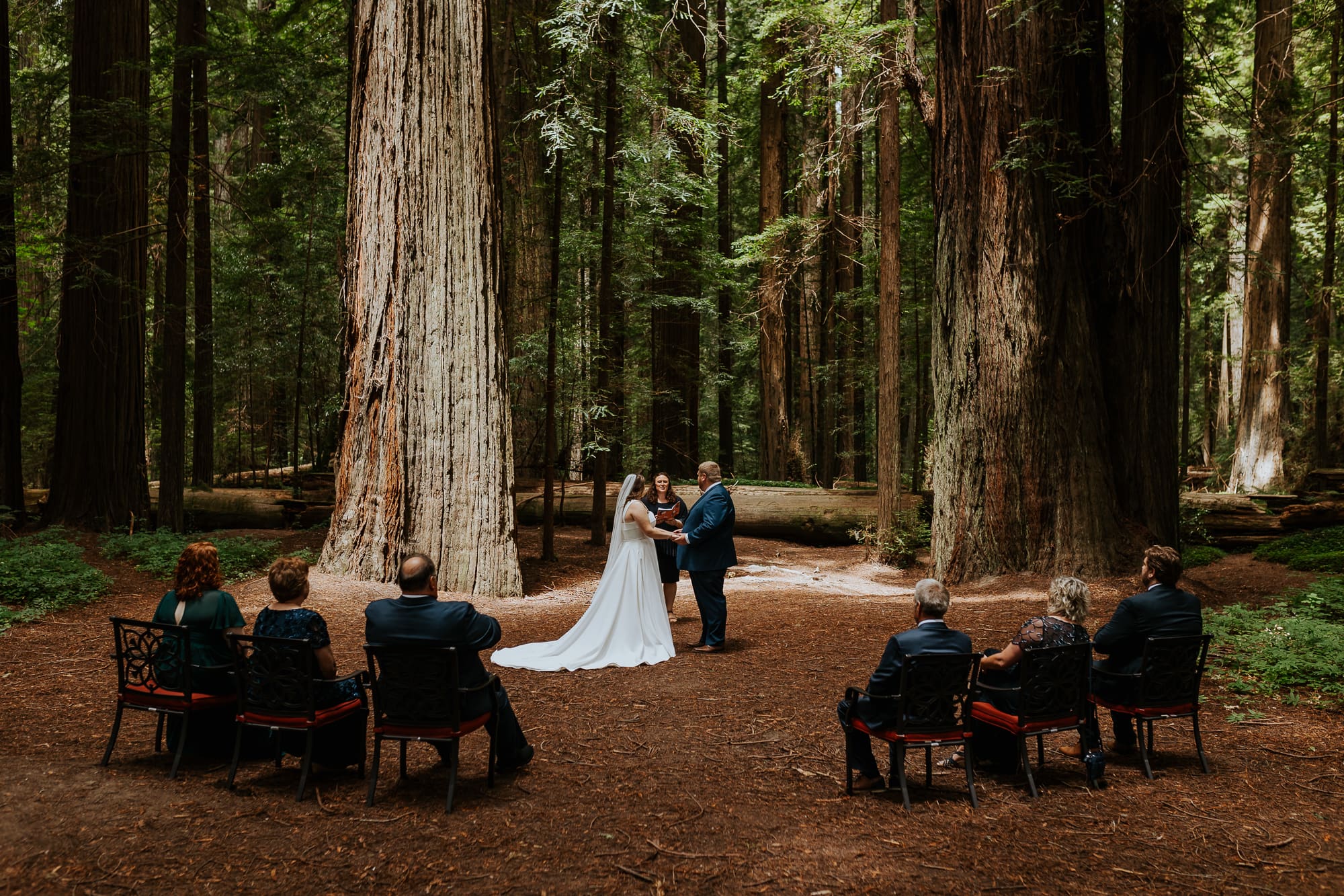 Elopement with family in the redwoods