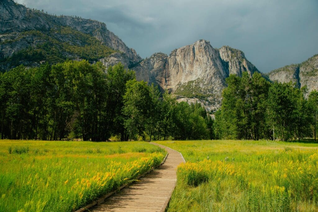 Cooks Meadow Loop