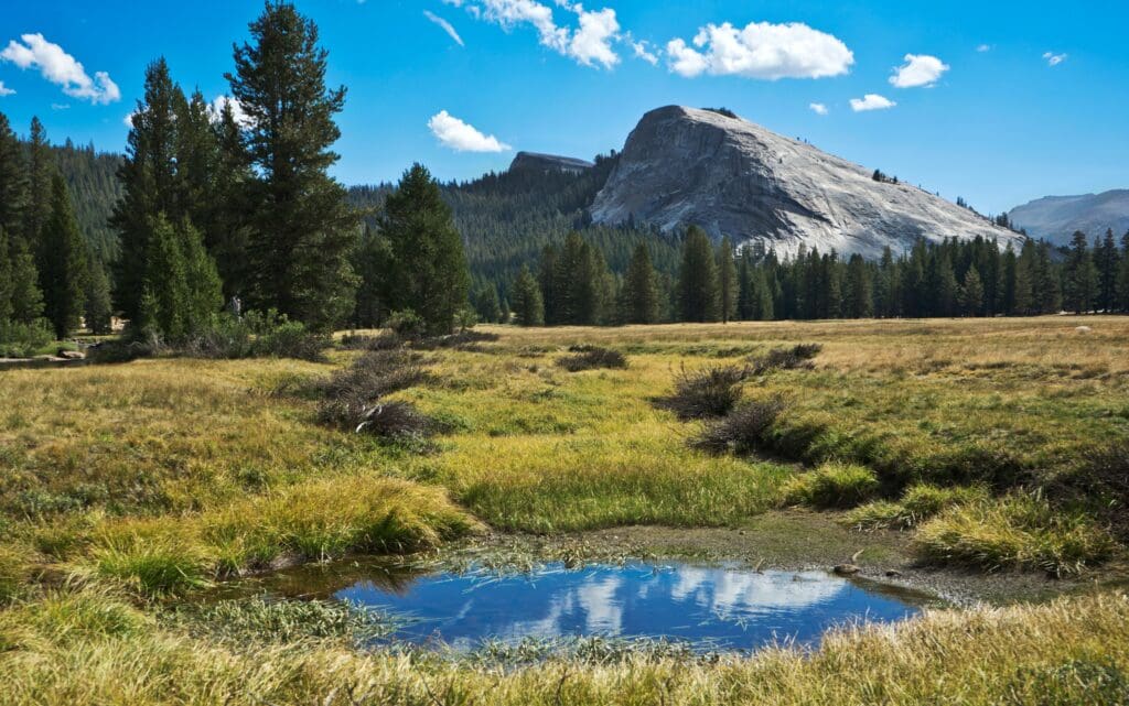 tuolumne meadows